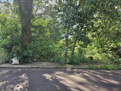 Terreno para Venda, em Marechal Cndido Rondon, bairro Alvorada