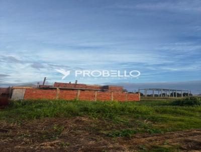 imagem-miniatura