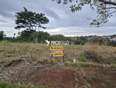 imagem-miniatura
