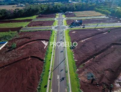 Loteamento para Venda, em Marechal Cndido Rondon, bairro Loteamento Dona Delci