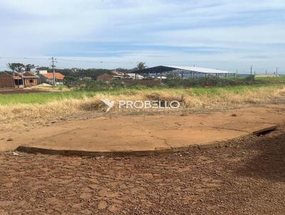 Terreno para Venda, em Mercedes, bairro Morada do Sol