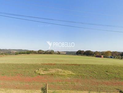 �rea Rural para Venda, em Marechal C�ndido Rondon, bairro Roda D`�gua
