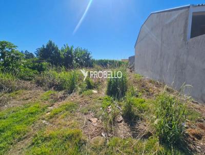 Terreno para Venda, em Cascavel, bairro Sede Alvorada